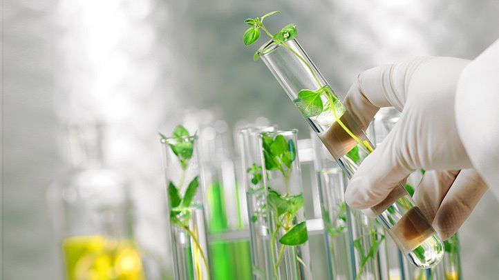 bioidentical testosteron side effects